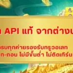 เว็บนอก API แท้ จากต่างประเทศ กับระบบทดลองเล่นฟรี มีจริงหรือไม่